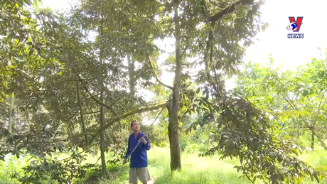 Nhật trình kinh tế ngày 08/3/2023