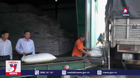 Xuất khẩu gạo Việt Nam sẽ tăng cao