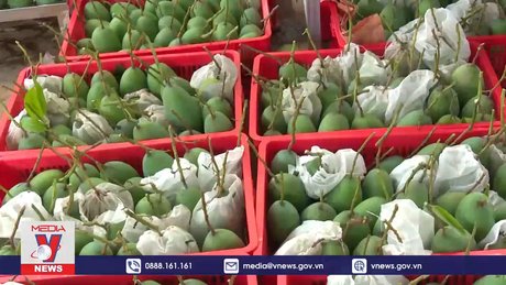 Tiêu chí mới đánh giá sản phẩm OCOP