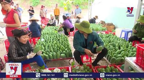 Bản tin thời sự 20h ngày 08/03/2023