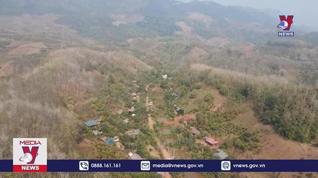 Nhiều thách thức khi triển khai cấp chứng chỉ rừng