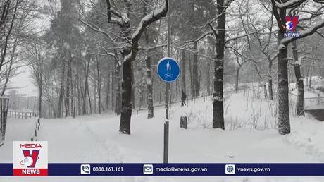  Giao thông tại Thụy Điển bị gián đoạn do bão tuyết