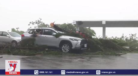 Trung Quốc ban bố cảnh báo vàng với bão Haikui