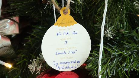 Cây thông Noel 'biến ước mơ thành sự thật'