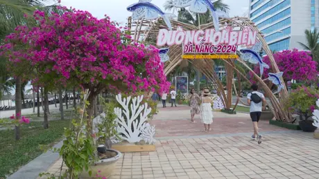 Rực rỡ Đường hoa biển Đà Nẵng