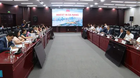 Đà Nẵng hợp tác với Tổ chức Khoa học và Chuyên gia Việt Nam Toàn cầu