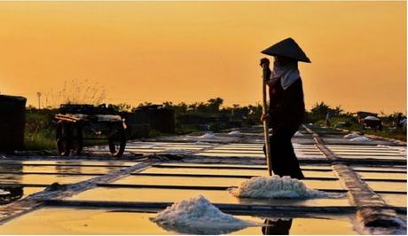 Việt Nam nhập khẩu hàng tỷ USD tiền muối mỗi năm