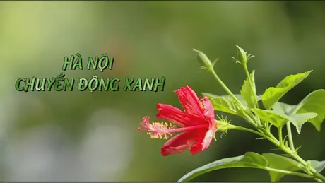 Hà Nội chuyển động xanh