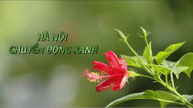 Hà Nội chuyển động xanh