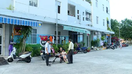 Kiến ba khoang xuất hiện tại nhiều chung cư ở Đà Nẵng