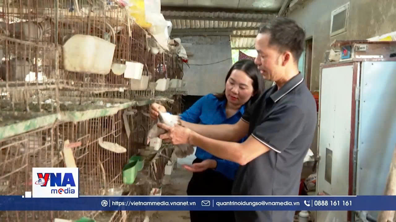 Thanh niên Đan Thượng phát triển kinh tế, giảm nghèo bền vững