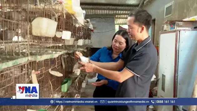Thanh niên Đan Thượng phát triển kinh tế, giảm nghèo bền vững