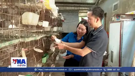 Thanh niên Đan Thượng phát triển kinh tế, giảm nghèo bền vững