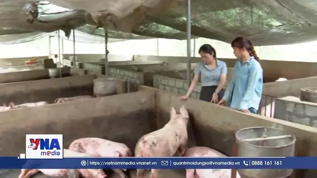 Gương phụ nữ làm kinh tế giỏi