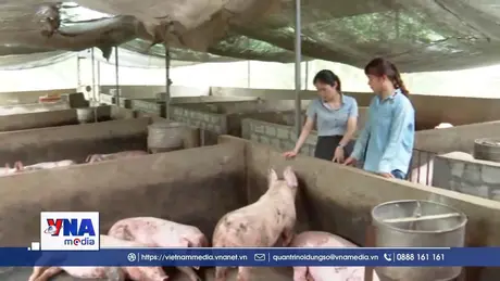 Gương phụ nữ làm kinh tế giỏi
