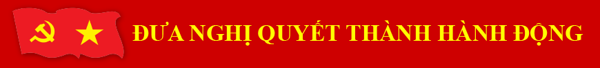 top_banner
