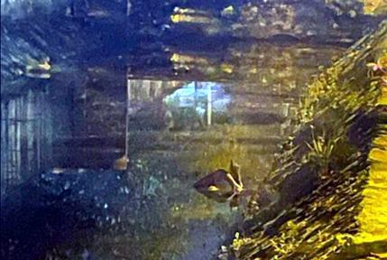 Phát hiện cánh tay một người đàn ông tại KCN Quất Động