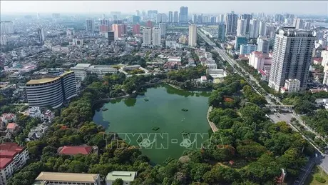 Phủ xanh Hà Nội – Hành động vì thành phố đáng sống