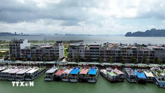 Quảng Ninh tạm ngừng cấp phép thăm quan, lưu trú trên biển từ sáng 5/10