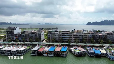 Quảng Ninh tạm ngừng cấp phép thăm quan, lưu trú trên biển từ sáng 5/10