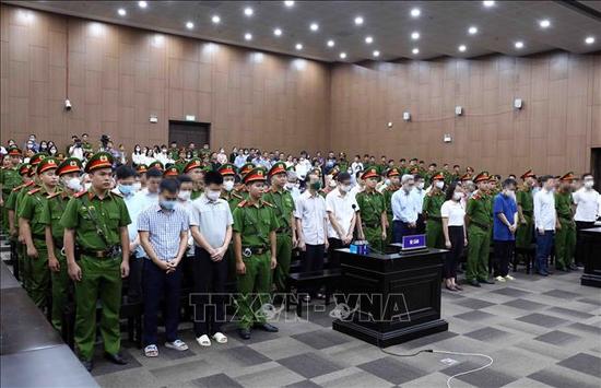 Sắp đưa ra xét xử phúc thẩm vụ 'chuyến bay giải cứu'