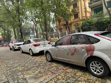 Hà Nội: Bắt 4 đối tượng tạt sơn vào nhiều xe ô tô