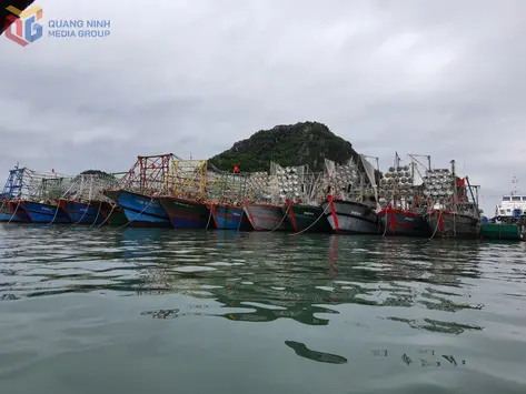 Quảng Ninh hiện đại hóa đội tàu, hướng đến khai thác bền vững