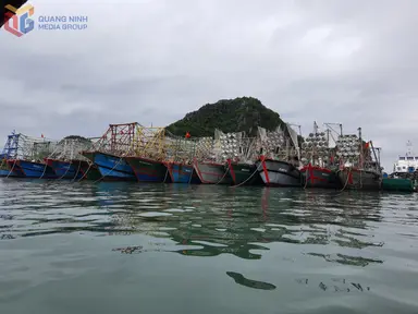 Quảng Ninh hiện đại hóa đội tàu, hướng đến khai thác bền vững