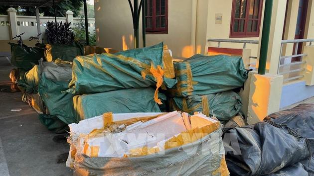 Bắt giữ xe chở hơn 3,8 tấn cá tầm không rõ nguồn gốc
