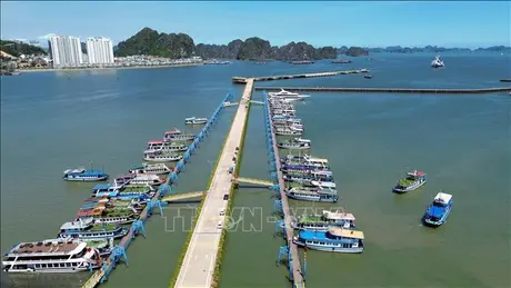 Quảng Ninh tăng trưởng 2 con số 6 tháng năm 2025
