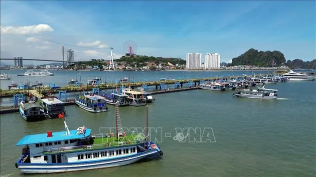 Quảng Ninh cần có quy hoạch phát triển đội tàu để nâng cao chất lượng du lịch