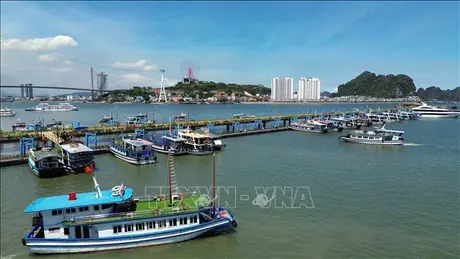 Quảng Ninh cần có quy hoạch phát triển đội tàu để nâng cao chất lượng du lịch