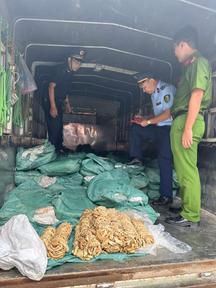 Cao Bằng: Thu giữ, buộc tiêu hủy 1.400kg lòng bò đông lạnh không rõ nguồn gốc, xuất xứ