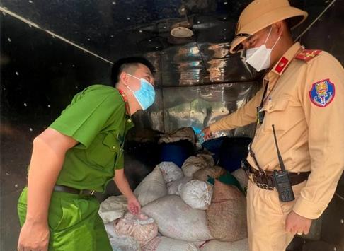 Thu giữ hơn 1,5 tấn mỡ, lòng bẩn đang vận chuyển đi tiêu thụ