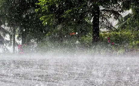 Thời tiết ngày 12/8: Bắc Bộ mưa vừa và dông, có nơi mưa rất to