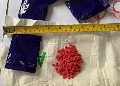 Bắt 2 đối tượng vận chuyển 12.000 viên ma túy
