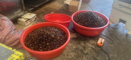 Phát hiện công ty 