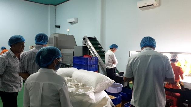Bình Thuận: Chỉ đạo khẩn về phòng, chống ngộ độc thực phẩm 