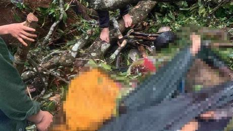 Cây lớn ngã đổ làm 3 người tử vong, 1 người bị thương
