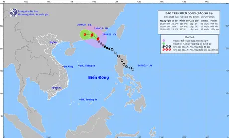 Ứng phó bão số 8: Triển khai các biện pháp bảo vệ công trình giao thông