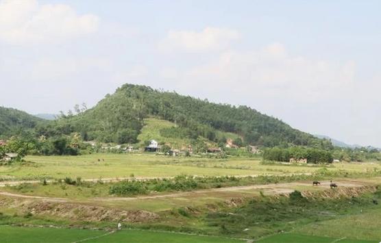 Phát hiện gần 15.000m2 đất sử dụng sai mục đích 