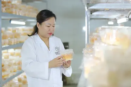 Nông nghiệp công nghệ cao đóng góp xây dựng nông thôn mới