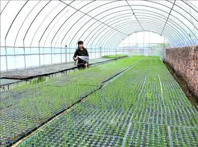 Hà Nội kiến tạo Nông thôn mới kiểu mẫu