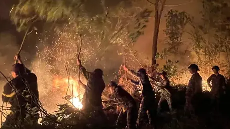 Cháy thảm thực bì ở núi Sơn Đào, gần 300 người căng mình dập lửa
