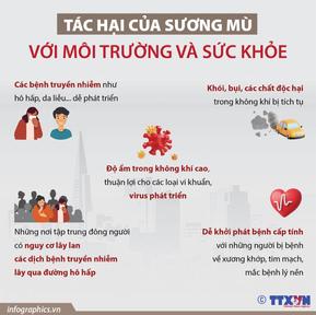 Tác hại của sương mù với môi trường và sức khỏe như thế nào?