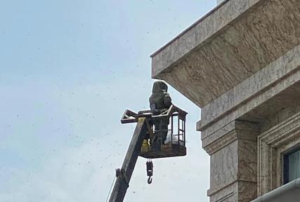 Hải Phòng: Sức khỏe 3 người đi đường bị ong đốt đã ổn định