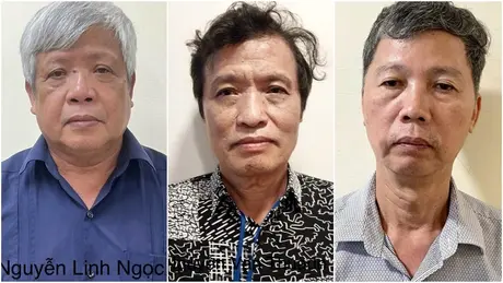 Khởi tố, bắt tạm giam nguyên Thứ trưởng Bộ Tài nguyên và Môi trường Nguyễn Linh Ngọc 