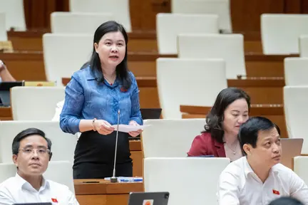 Đại biểu ‘truy’ trách nhiệm của Chính phủ trong việc liên tục sửa đổi luật