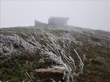 Vùng núi cao Bắc Bộ có nơi dưới 0 độ C