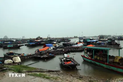 Đông Bắc Bộ mưa rất to, cục bộ có nơi trên 300mm